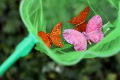 kids_spring_garden_party_game_ideas_butterfly